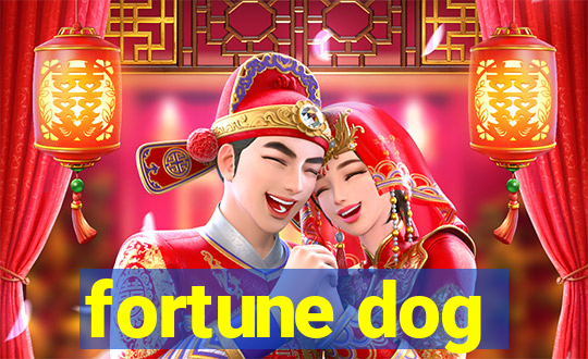 fortune dog