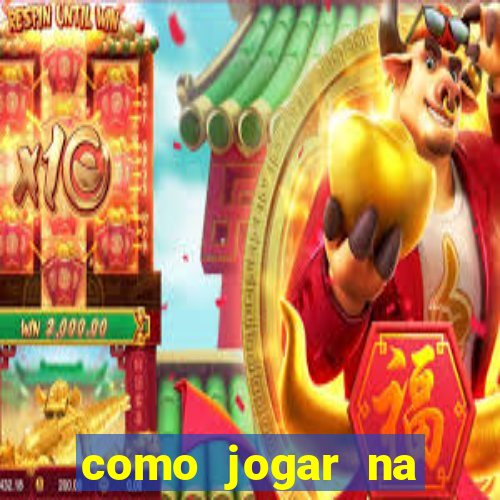 como jogar na teimosinha da lotofacil