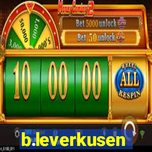 b.leverkusen