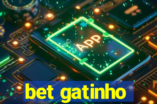 bet gatinho