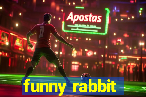 funny rabbit