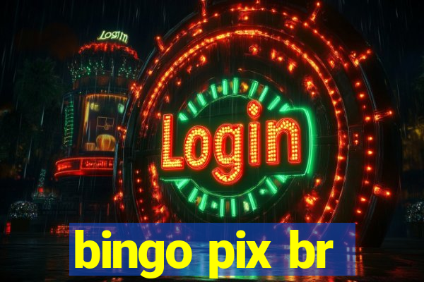 bingo pix br