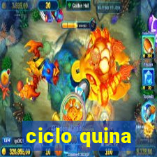 ciclo quina