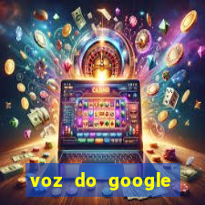 voz do google tradutor homem