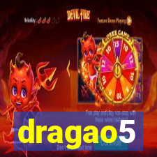 dragao5