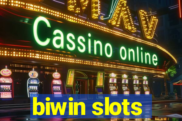 biwin slots