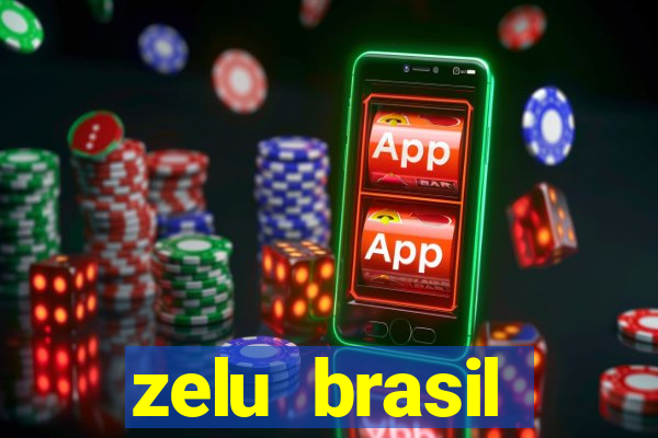 zelu brasil facilitadora de pagamentos ltda jogos