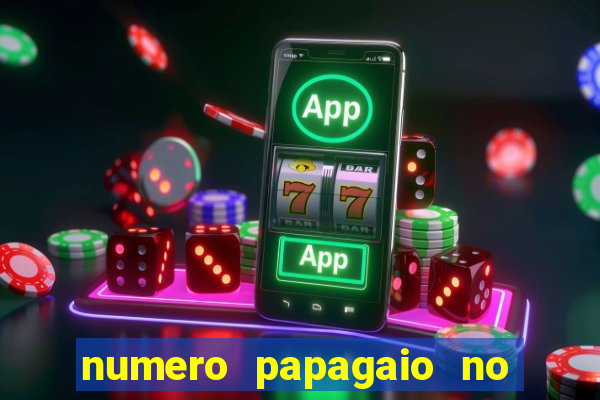 numero papagaio no jogo do bicho