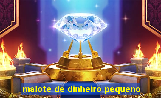 malote de dinheiro pequeno