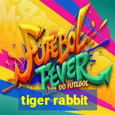 tiger rabbit