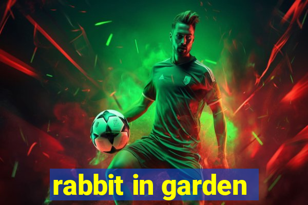 rabbit in garden