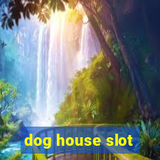 dog house slot