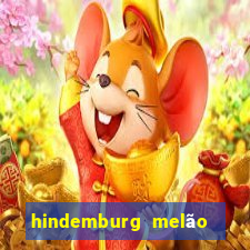 hindemburg melão jr fortuna