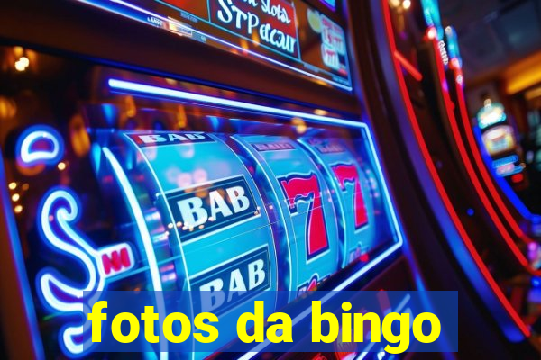 fotos da bingo