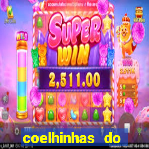 coelhinhas do brasil site