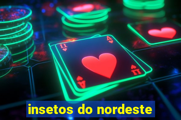 insetos do nordeste