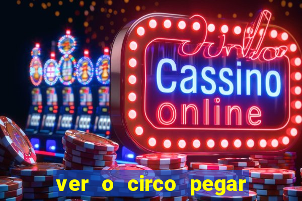 ver o circo pegar fogo significado