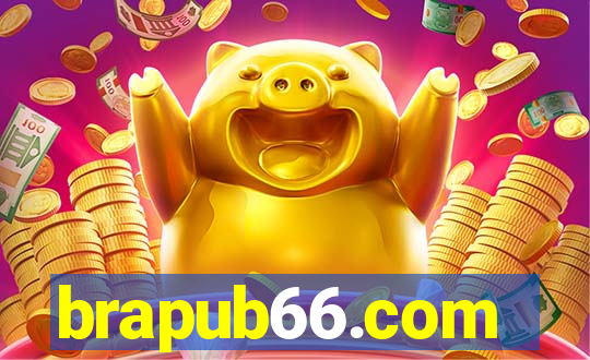 brapub66.com