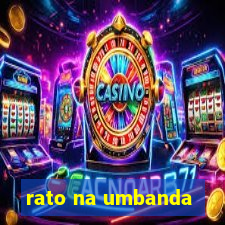 rato na umbanda