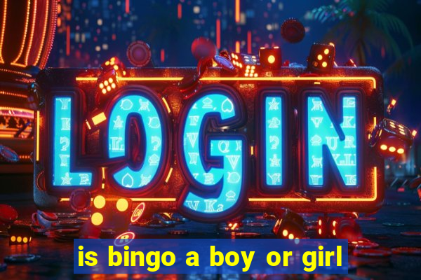 is bingo a boy or girl