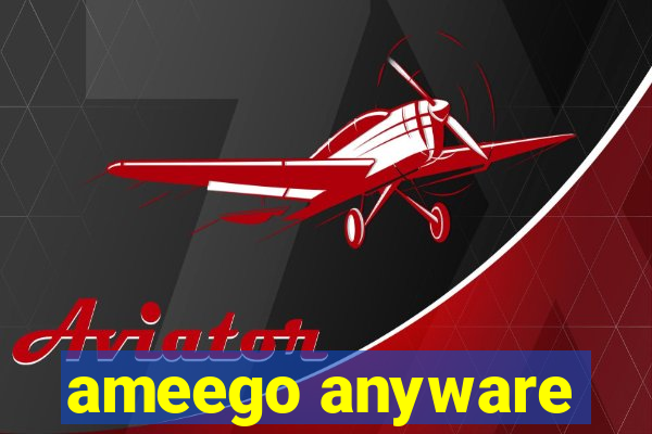 ameego anyware