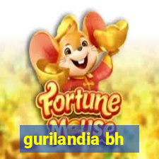 gurilandia bh