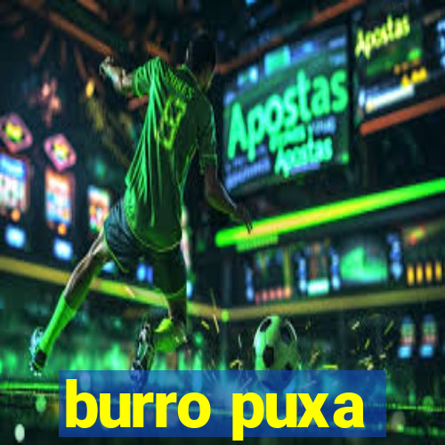 burro puxa