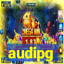 audipg