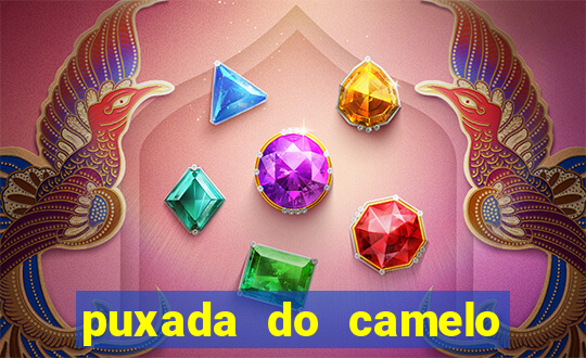 puxada do camelo no jogo do bicho