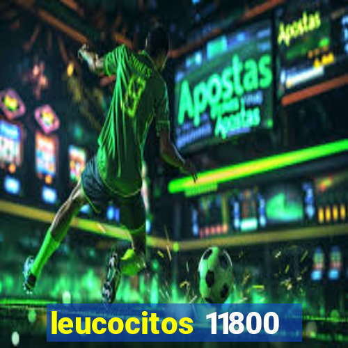 leucocitos 11800