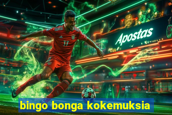 bingo bonga kokemuksia