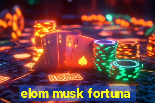 elom musk fortuna