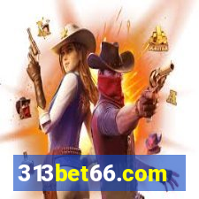 313bet66.com