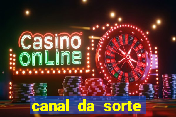 canal da sorte bingo de hoje