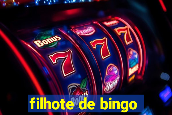 filhote de bingo