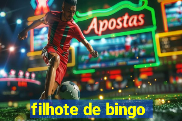 filhote de bingo