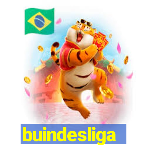 buindesliga