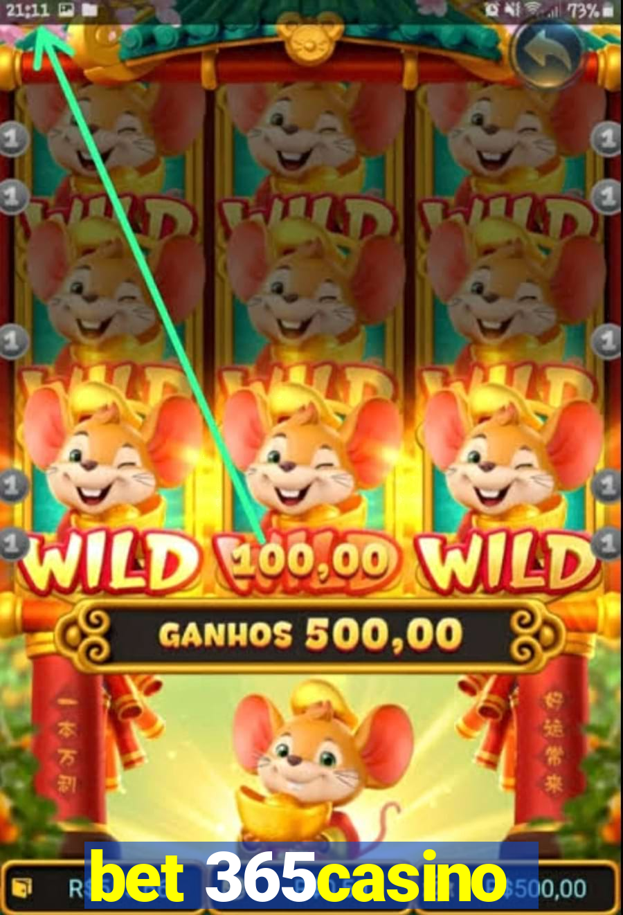 bet 365casino