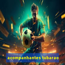 acompanhantes tubarao