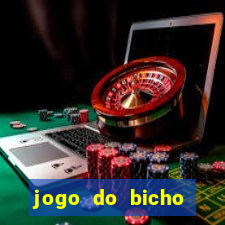 jogo do bicho documentario globoplay