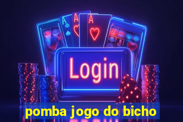 pomba jogo do bicho