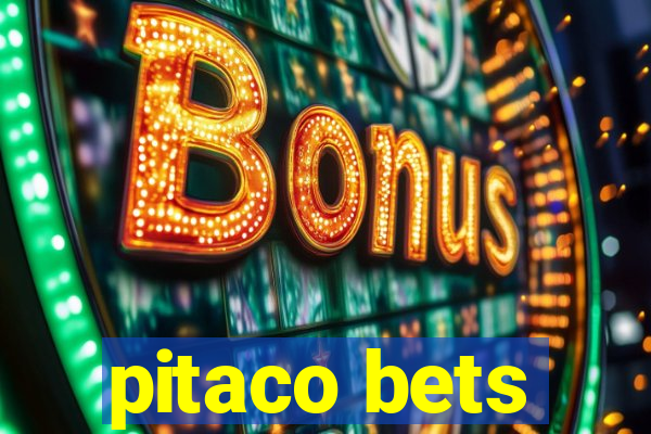 pitaco bets