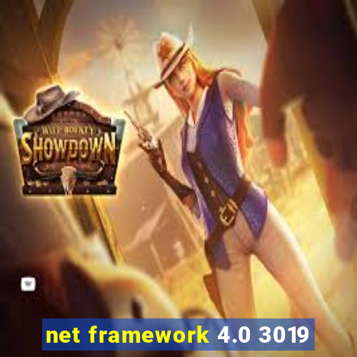 net framework 4.0 3019